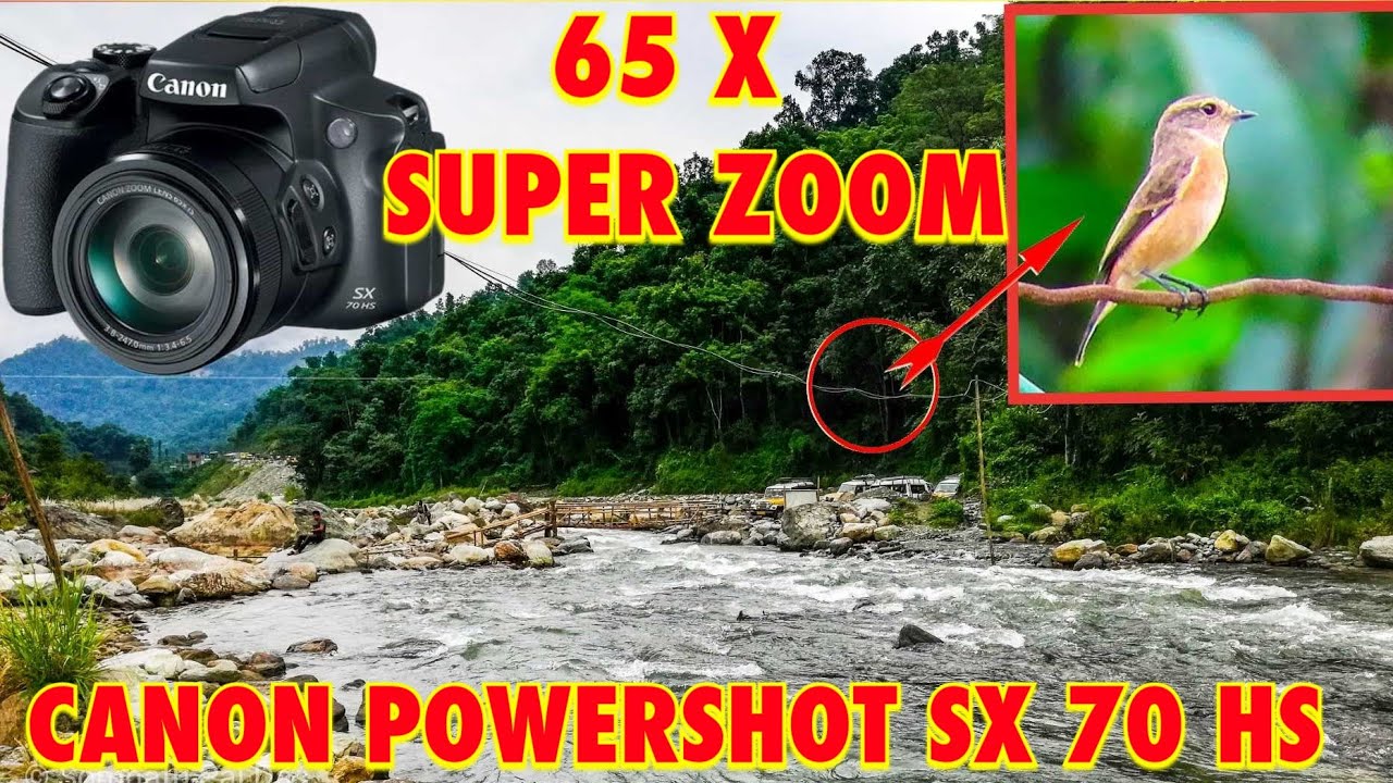 Canon PowerShot SX40 HS superzoom camera - BirdGuides