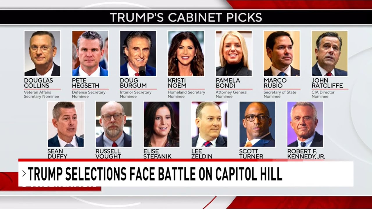 Trump's cabinet picks are set to face questioning by the Senate on ...
