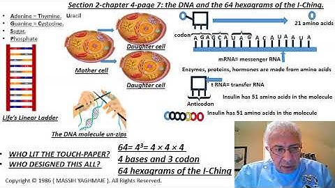 yin yang explained 01-sec.2- ch.4-p.7-the DNA and the 64 hexagrams of the I-Ching.