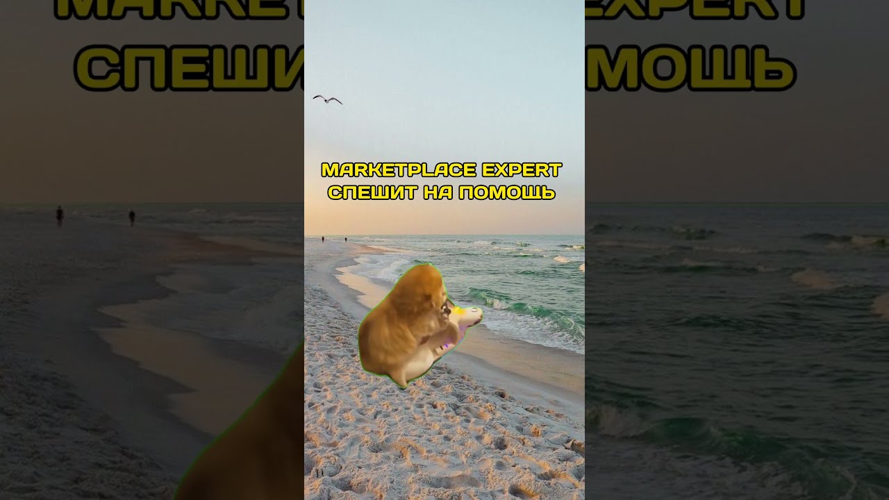Присоединяйтесь к агентству Marketplace Expert!