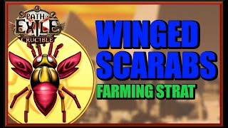 [POE 3.21] Farming Winged Scarabs For Maximum Profit - The Strategy We Thought Was Dead