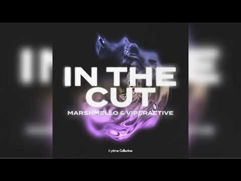 Marshmello & Viperactive - In The Cut (Unreleased ver.) [KabiKiler Remake]