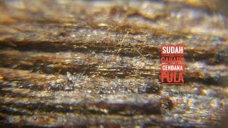 العود ماليزي كمبودي عود Aloeswood  香 Incense 沉香 Censer 沈香 Oud 伽羅 Agarwood Gaharu