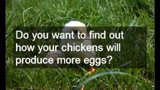 Cheap plans for hen houses and runs | choice of multiple detailed plans for hen houses and runs Cheap plans for hen houses and runs, a choice of multiple detailed plans for hen houses and runs - Click on the link http://