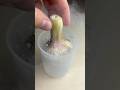 Liquid Nitrogen vs Garlic 🧄❄️ #experiment #asmr #liquidnitrogen #asmrsounds #onion