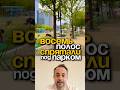 В Далласе парк построили прямо над восьмиполосной трассой