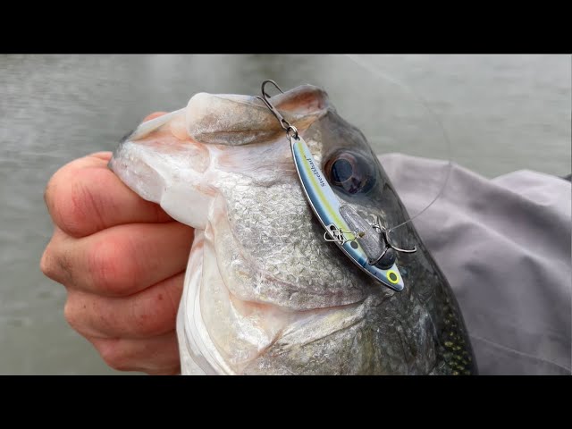 Winter Bass in 30ft Rock Piles with Blade Bait!