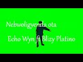 Nebwoligyenda ota echo wyn ft brizy platino  new ugandan music 2020