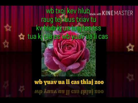 Video: Yuav Ua Li Cas Yuav Ua Rau Christmas Ntoo Dai Kom Zoo Nkauj Los Ntawm Cones