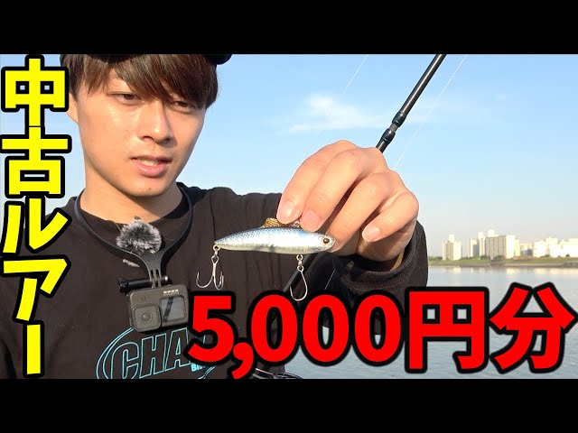 実釣編》釣りプロが「予算5,000円」で中古ルアーを揃えシーバスを狙う