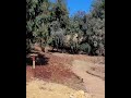 Hole 7 Sapwi Trails Disc Golf course. Parked with my Ev-7 Penrose putter.