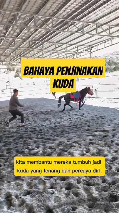 WAJIB TAU! Ini Alasan Kuda Kecil Diberi Tali - Bukan Siksaan, Tapi...