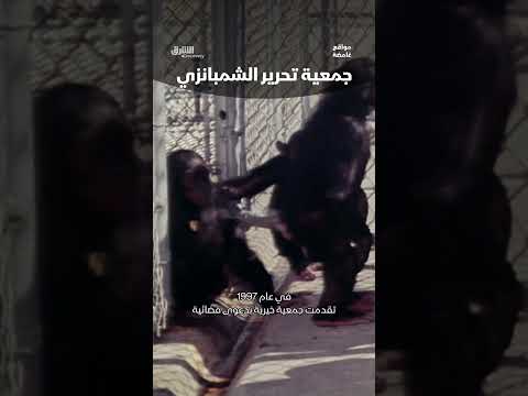 جمعية تحرير الشمبانزي