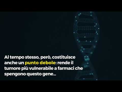 Video Tumori, individuato il gene Ndrg1: bloccarlo potrebbe indebolire le cellule cancerose
