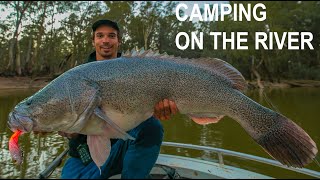 Murray Cod Fishing  Big Fish and Small rivers