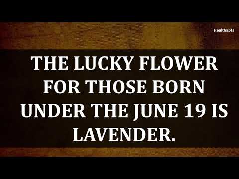 june-19-birthday-zodiac-personality