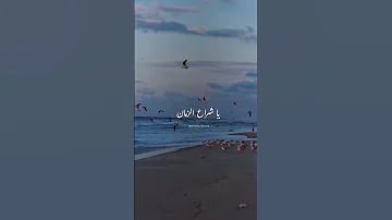 موديني يا شراع الزماني 