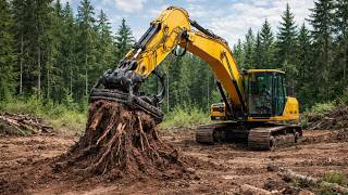 Massive Excavator Stump Extraction | High Output Timber Processing