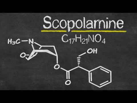 Skopolamina – lek na ból brzucha czy "serum prawdy"?