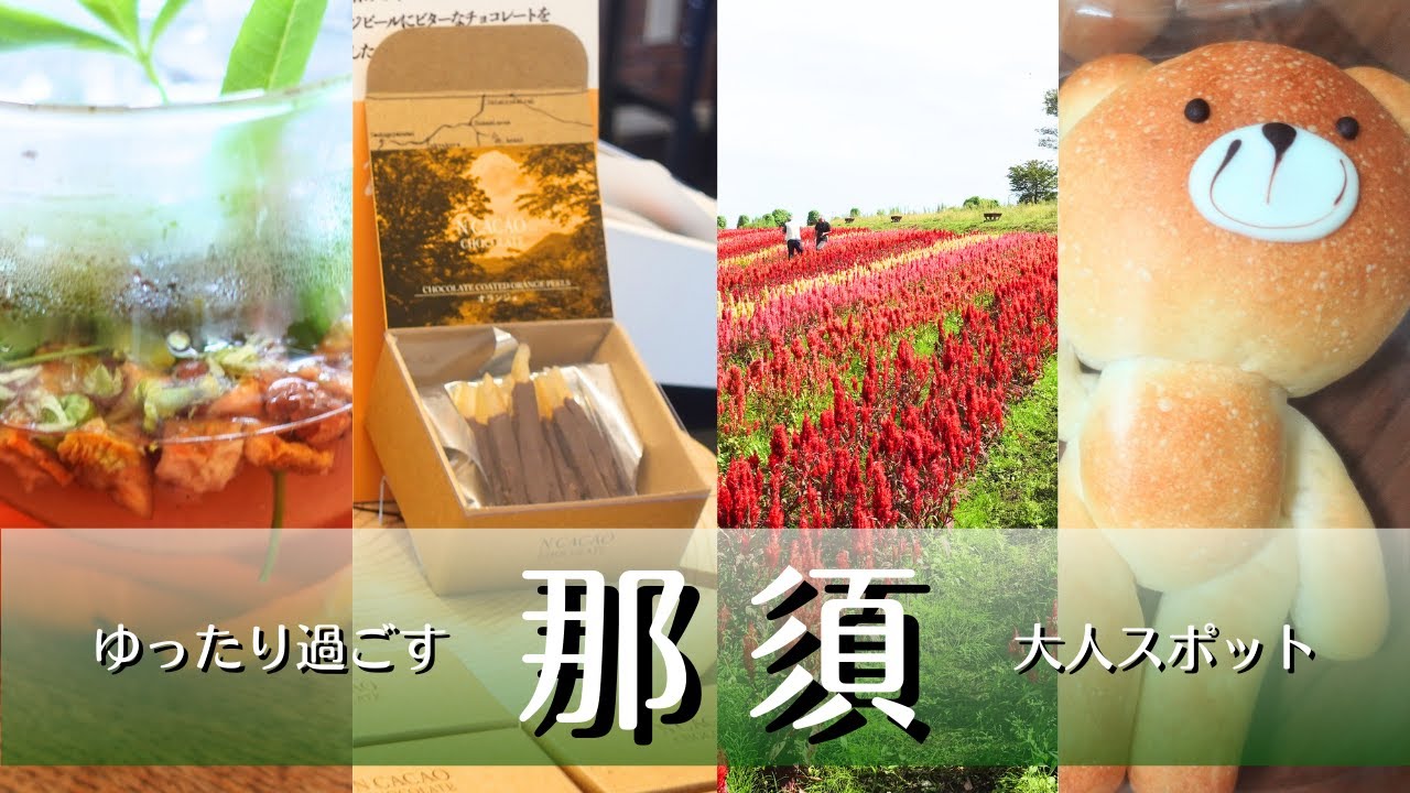 （vlog）1泊2日で栃木県那須を満喫、グルメに観光、夫婦で珍道中。