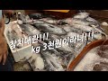 참치대란!!! kg 당  3천원~~ 고등어 값이 되버렸어요 !!!