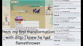 Pokemon Showdown Ditto's Pranks