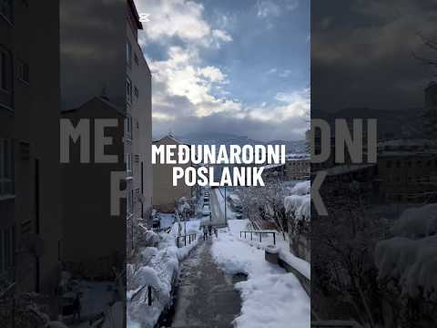 Međunarodni poslanik
