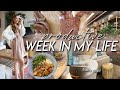 WEEK IN MY LIFE | home decor shopping &amp; haul, 15-week baby appointment, &amp; prep to move to our house!