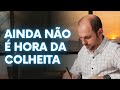THIAGO DOTTA | AINDA NÃO É HORA DA COLHEITA!