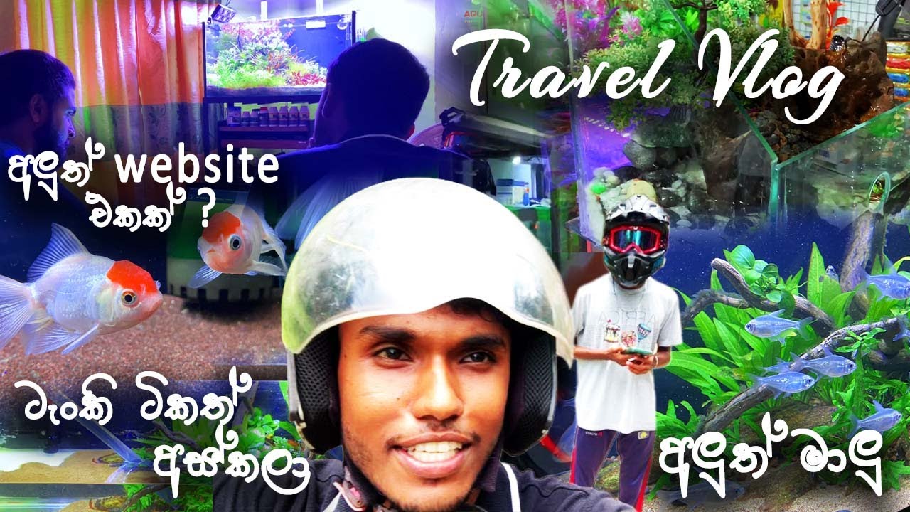 A ride at the aquarium on a busy day.| කාලෙකින් ඇවිදින්න ගියා!! #Vlog_No_2