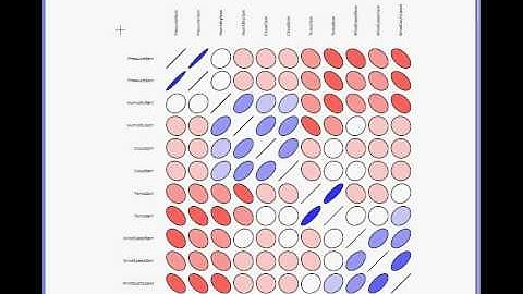 Rattle R Gui  Correlation