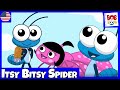 Itsy Bitsy Spider - Bob Zoom