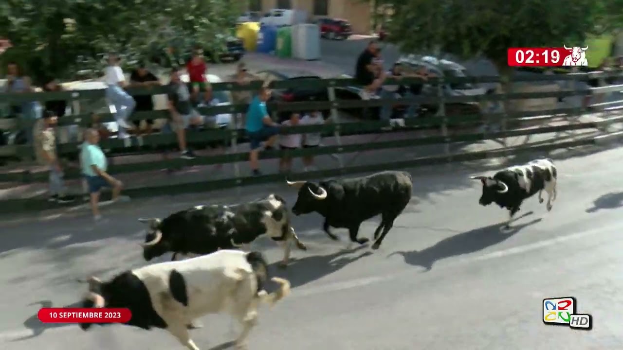 ENCIERRO 10 DE SEPTIEMBRE Calasparra 2023.