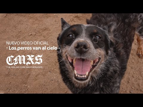 Camiches "Los Perros Van Al Cielo" Video Oficial