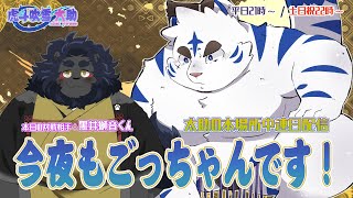 今夜もごっちゃんです！太助の本場所中連日配信【五月場所十三日目】