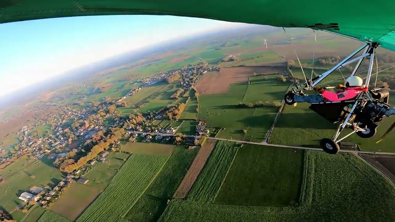 Ohey  nov 2024 depuis Avocette