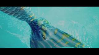 Jumbo ja Flamingo - Suomen mahtavin viihdekauppakeskus