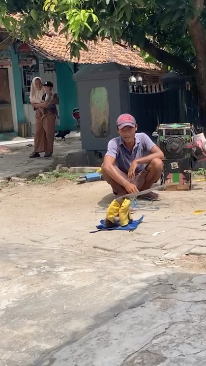 Topeng monyet #reels #shorts #topengmonyet #funny #happy