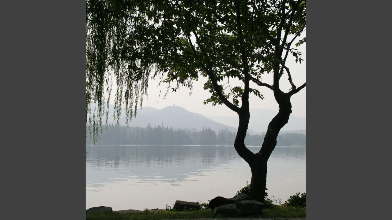 Guarda Willow su YouTube Guarda Willow su YouTube