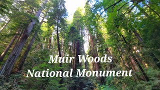 Muir Woods National Monument aka Redwood Canyon ~ Walking among the Giants