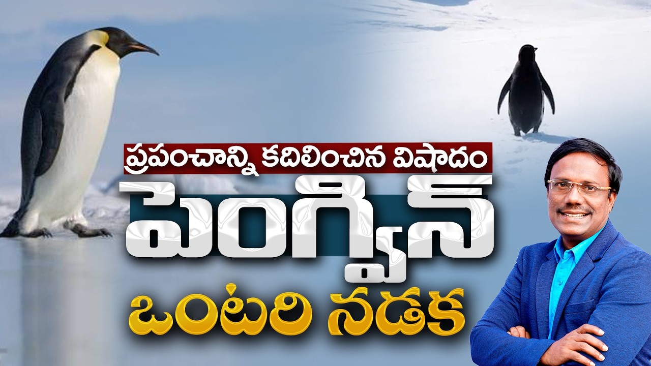 #Sunday1stService | ప్రపంచాన్ని కదిలించిన విషాదం పెంగ్విన్ ఒంటరి నడక | 01 Feb 2026 | Dr. Noah