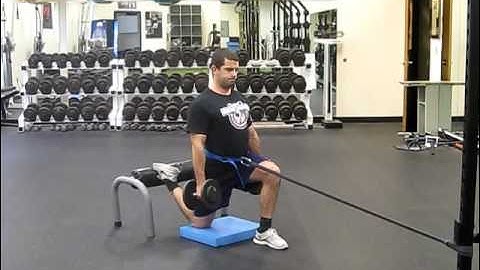 Split Squat With Band