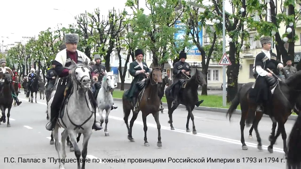 Зарубежные Писатели о черкесах. Ул Кабардинская Черкесск. Фонд Кабардинской лошади. Кабардинская 65 Черкесск.