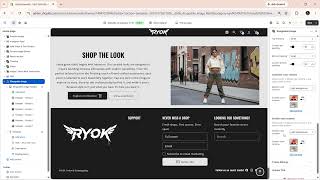 How to Use the Shoppable Image Section | Debutify Theme