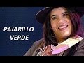 TAMARA CASTRO. PAJARILLO VERDE