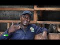 Mkulima Ufugaji Wa Mbuzi Wa Maziwa Mwihoko 