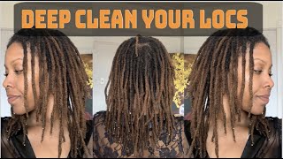 Famous Clarifying Shampoo on Locs | Deep Clean Wealth