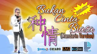 BUKAN CINTA BIASA (DJ REMIX MANDARIN) By Dede Loo