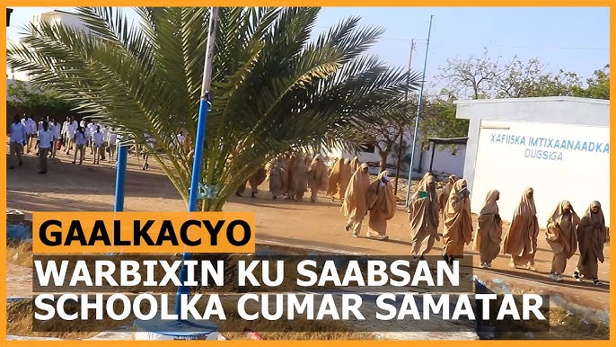 Katta nipellar porno fon rasmi