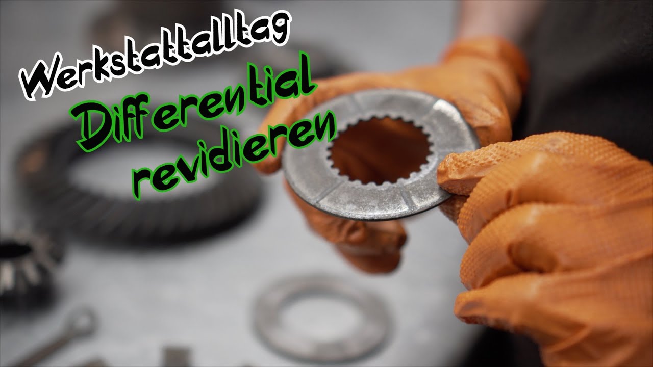 Westwood Performance Werkstatt Alltag wir Revidieren eine ZF006 25% Sperre